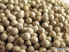 白胡椒蒸梨为什么不能用白胡椒粉