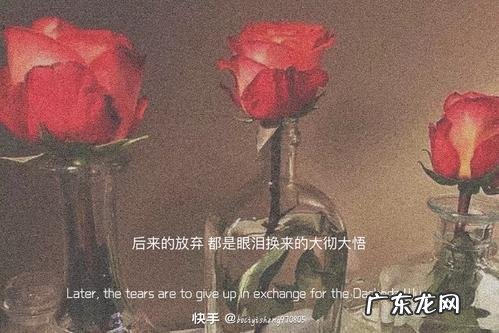 热门情感书单文案 热门文案情感