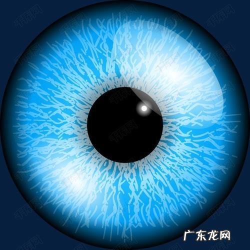 蓝色眼睛的猫 天生蓝色眼睛