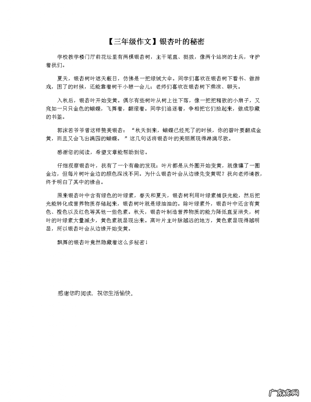 描写银杏叶的优美段落300个字 银杏叶作文优美段落