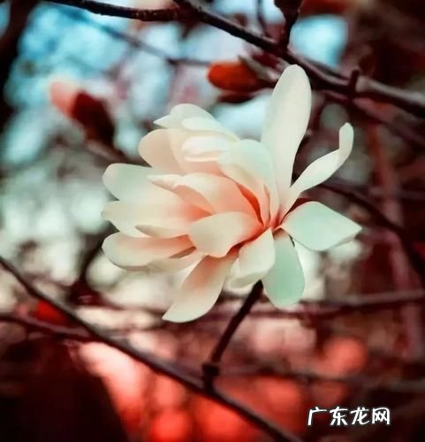 形容时间过得很慢的诗词