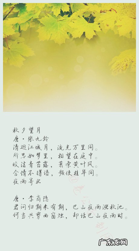 秋风轻轻地慢慢地吹动的成语 秋风轻轻的吹动的成语