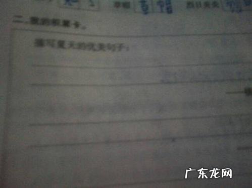 描写夏天早晨的优美段落 关于夏天的优美段落50字