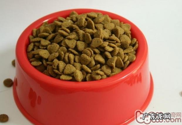 狗干食与狗湿粮哪一个对小狗更强