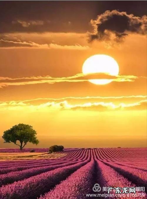 心理美文《心若向阳》朗诵 心理美文《心若向阳》