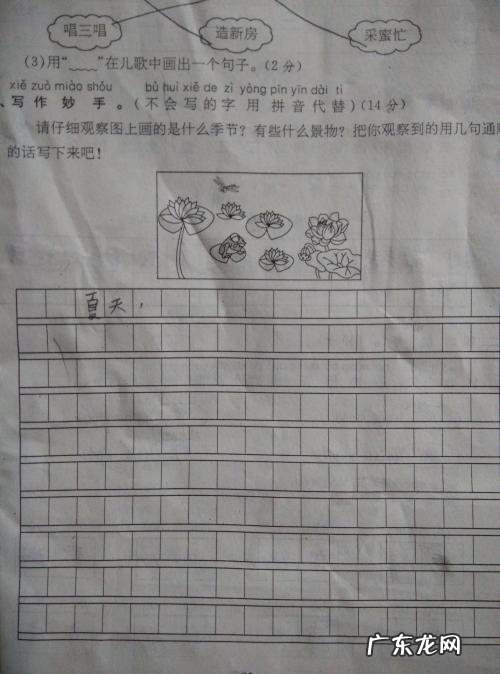 夏天是炎热的季节写一段话 用夏天的季节写一段话