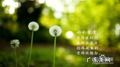 生活感悟简短语录 感悟经历的语录