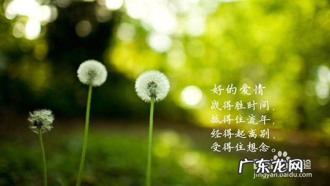 生活感悟简短语录 感悟经历的语录