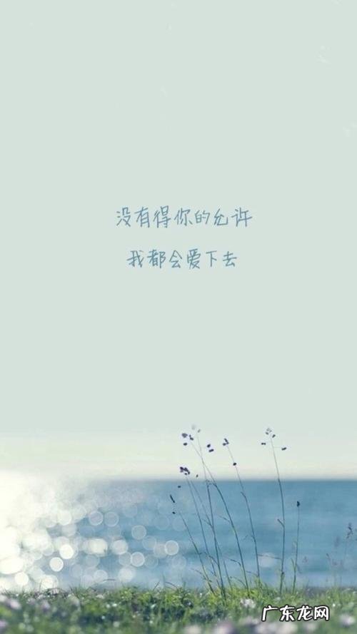 港风伤感语录 关于风的伤感语录