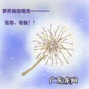 有趣的蒲公英作文150字 有趣的蒲公英300字