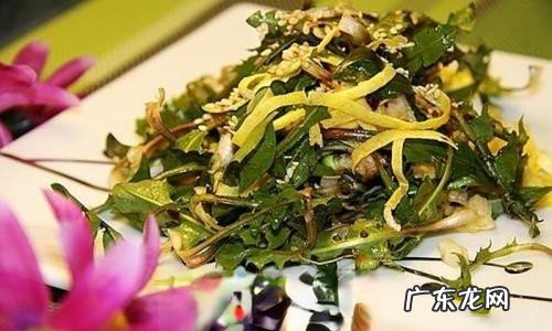 猫爪草和蒲公英的区别 昭和草和蒲公英的区别