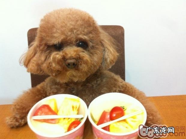 几类对小狗致命性的新鲜水果详细介绍