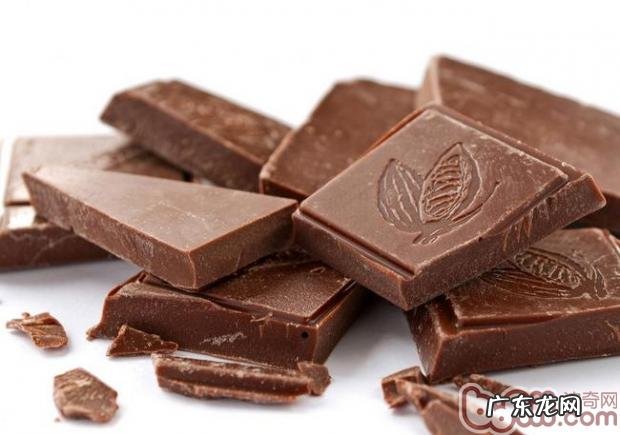 为什么不可以给狗狗吃巧克力
