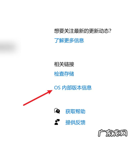 查看windows版本号 教你电脑win10版本号怎么看