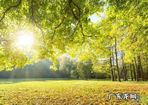 秋天的说说发朋友圈 秋天的说说