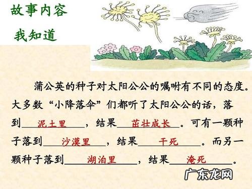 五年级课外阅读蒲公英 三年级课外阅读蒲公英