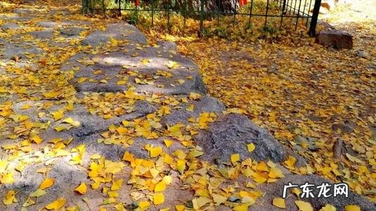 喜闻乐见形容什么 用什么形容11月