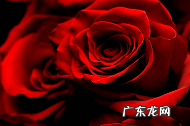 虾皮入驻邮箱怎么更改？审核提交要注意什么？