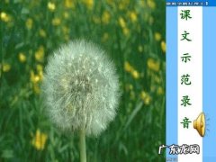 三年级蒲公英阅读分析 三年级阅读短文蒲公英