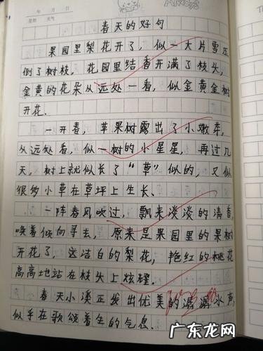 摘抄夏天的好段落 摘抄春天的优美好段