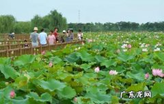 描写秋天傍晚的景色的段子 描写夏天美丽景色段子