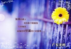 让男人看了亏欠心疼的话抖音 让男人看了亏欠心疼的话