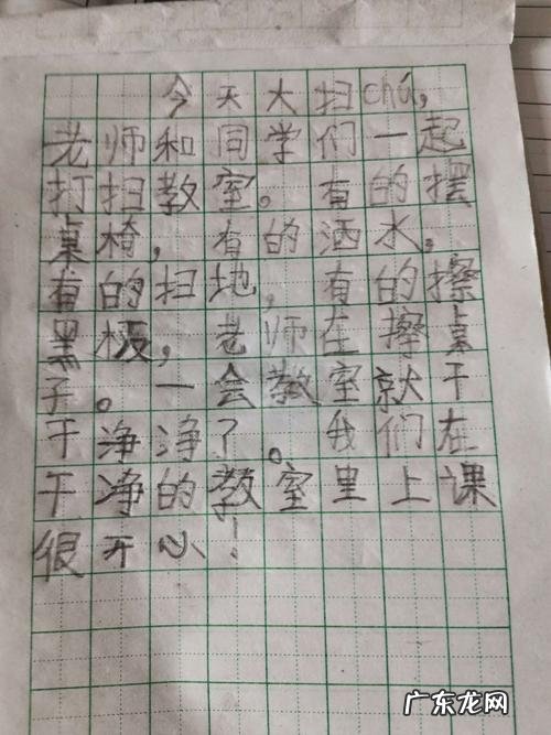 美丽的银杏树写话二年级 美丽的银杏树写话三百字