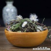 如何制作蒲公英茶 蒲公英茶可以天天喝吗