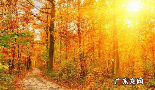 描写秋天景色的好段子很少字 描写秋天景色的好段