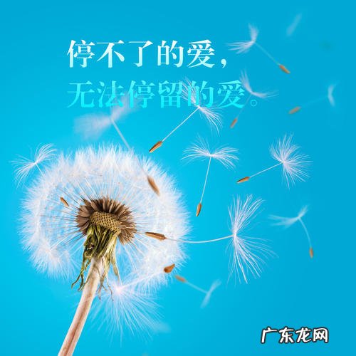 形容蒲公英的成语 形容蒲公英的诗