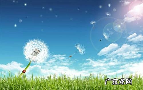 蒲公英的蒲组词语 赞美蒲公英的词语