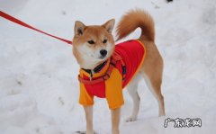 中药包外敷理疗减肥安全吗？