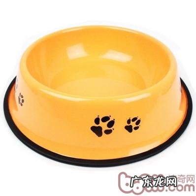 猫和狗盛典 波奇百度百科有奖问答主题活动火爆进行中！