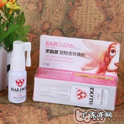 猫和狗盛典 波奇百度百科有奖问答主题活动火爆进行中!