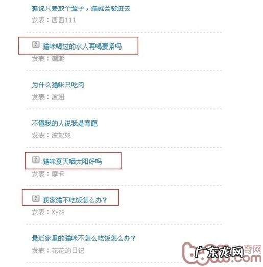 猫和狗盛典 波奇百度百科有奖问答主题活动火爆进行中!