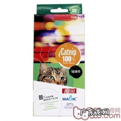 猫和狗盛典 波奇百度百科有奖问答主题活动火爆进行中！