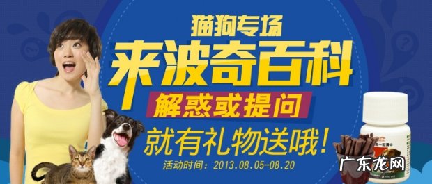 猫和狗盛典 波奇百度百科有奖问答主题活动火爆进行中!