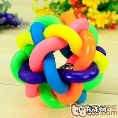 猫和狗盛典 波奇百度百科有奖问答主题活动火爆进行中！