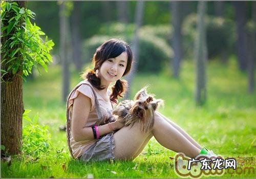 秋色宜人,小狗出行踏春常见问题