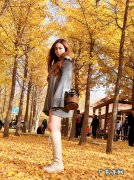 秋天的银杏叶描写好段 秋天的银杏叶描写