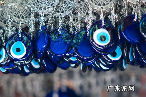 眼睛是蓝色的狗是什么品种 眼睛是蓝色的