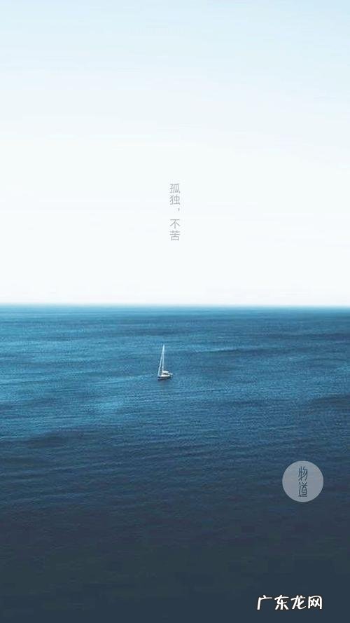 有一种境界叫孤独在线阅读