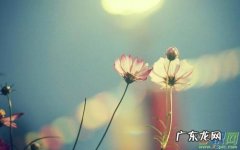 怎么去疏导心情低落的人 怎样开导情绪低落的人