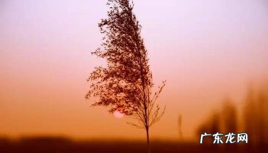 时间飞逝的优美开头写景 表示时间飞逝的优美开头