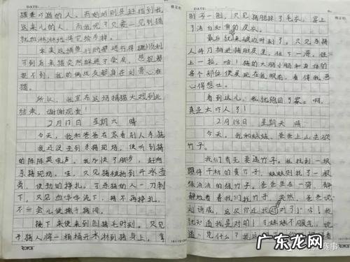 写给老师感动到哭的信 写给老师感动到哭的话