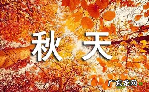 秋天的银杏树作文600字初一 秋天银杏树作文400字