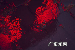 亚马逊定价越高越好吗？有哪些因素？