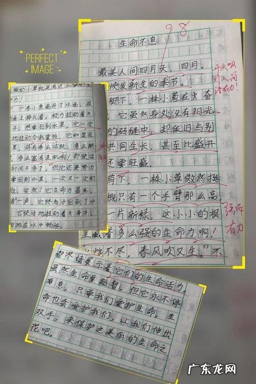 描写眼睛的小练笔150字五年级 描写眼睛的小练笔150字
