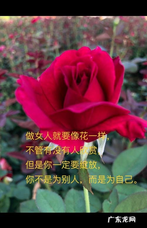 描写十一月的词语 对于十一月的描写