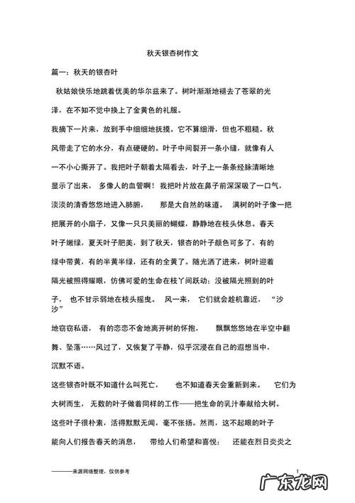 银杏树400字的优秀作文 银杏树的优秀作文